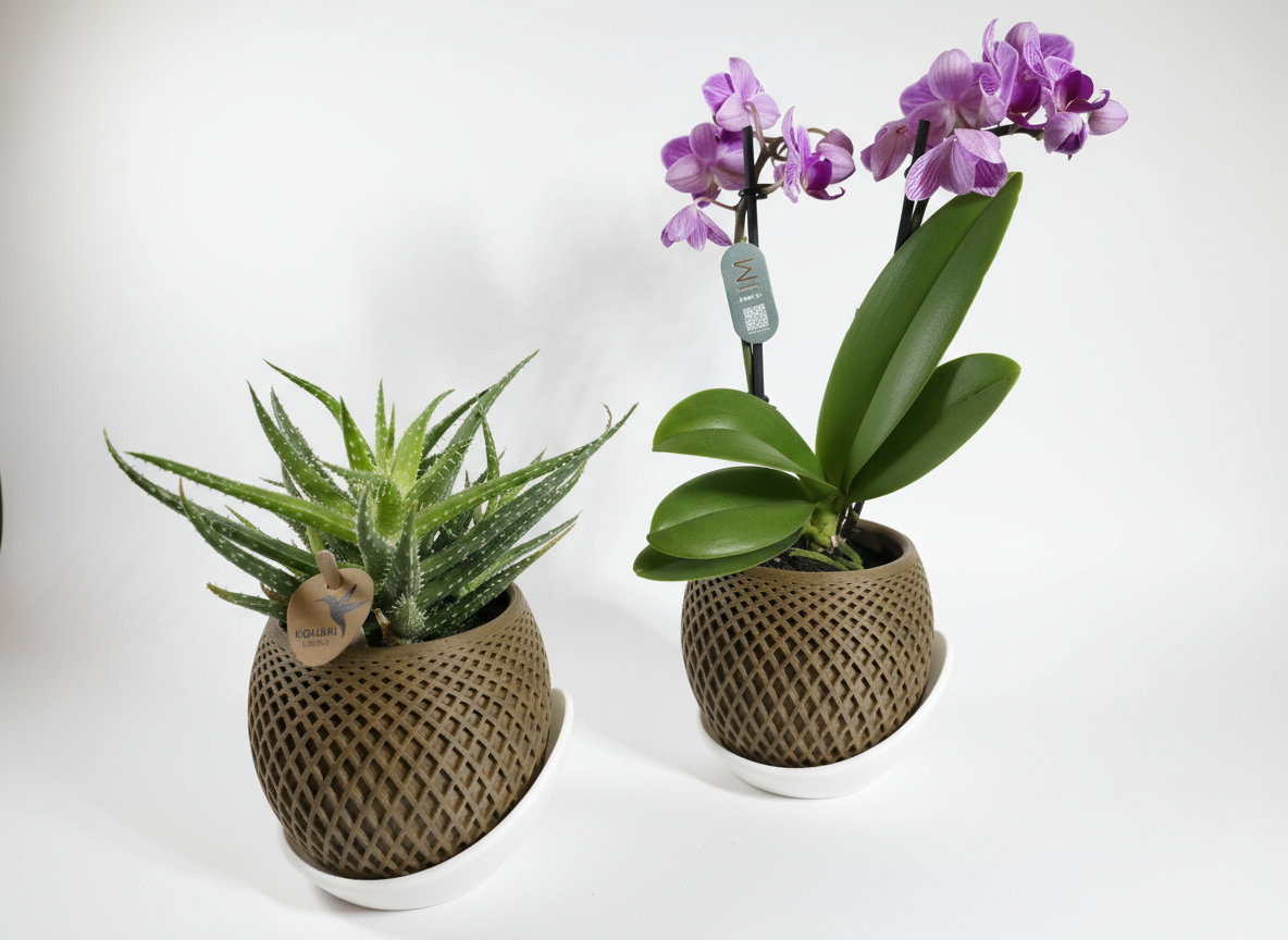 Professionele productfoto van plantenpotten met planten